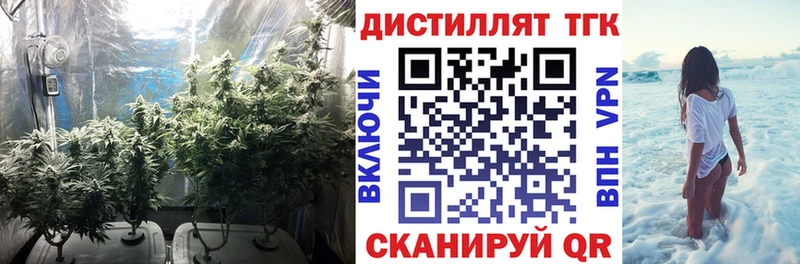 площадка формула  Белореченск  ТГК вейп с тгк  где продают   omg ТОР 